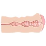 Picture of Free gift - SWEET LIPS STROKER